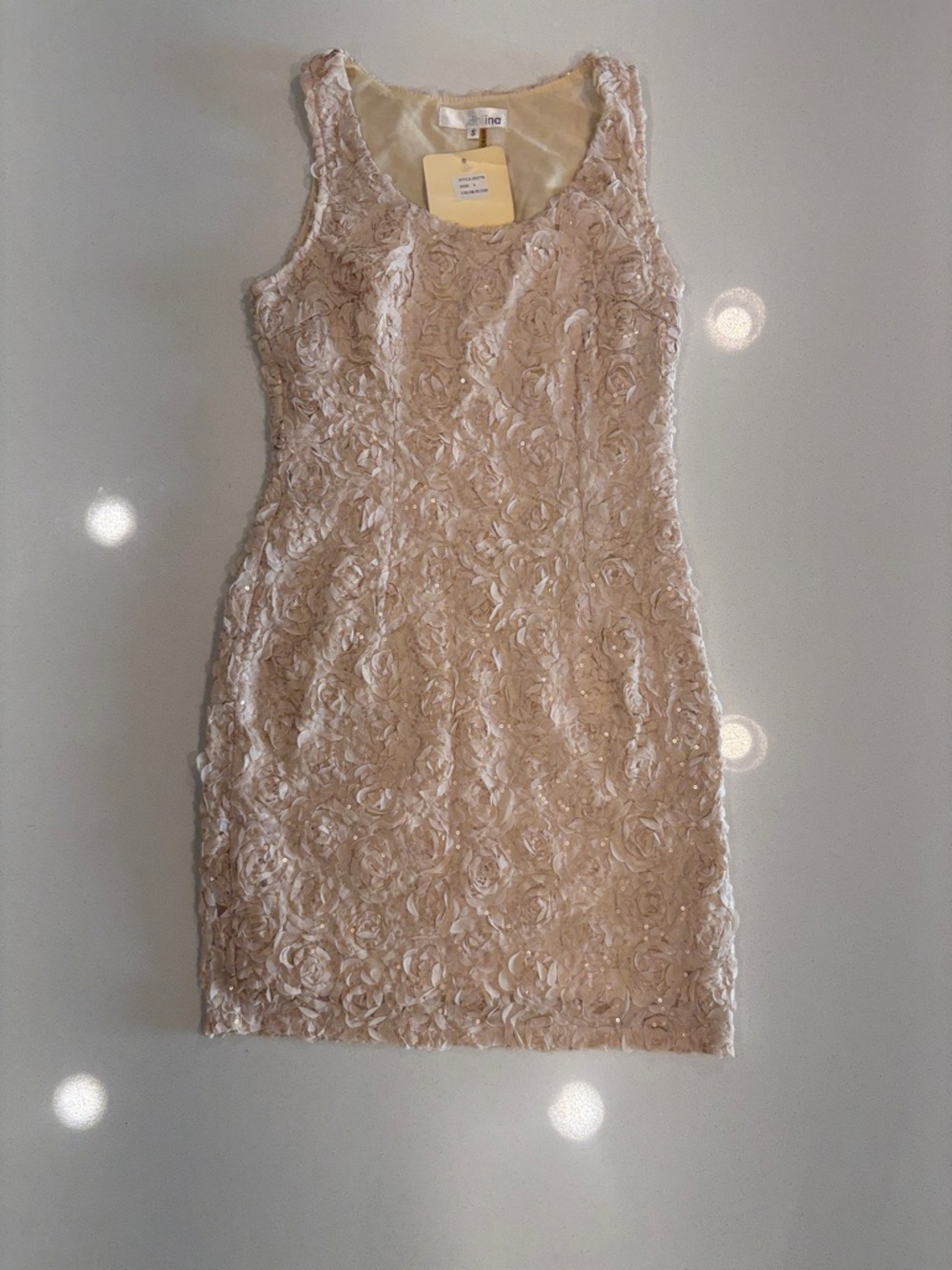 Ina Blush Floral-Appliqué Sleeveless Mini Dress